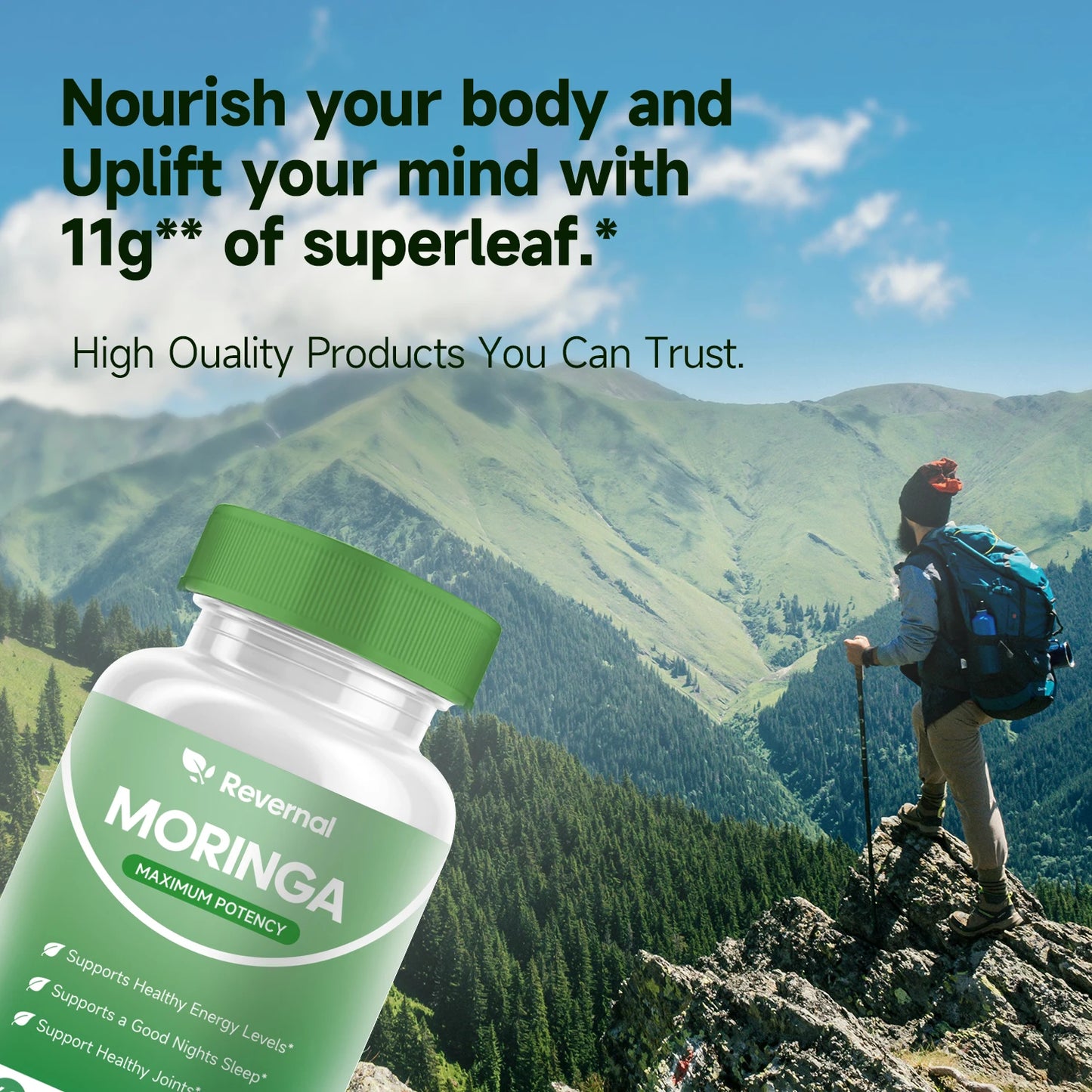 Quit Mood Moringa Powder Capsules Natural Green Antioxidant Superfood