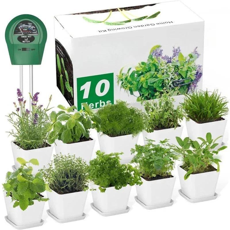 Herb Garden Kit Indoor Starter Kit With 10 Variety Herbs